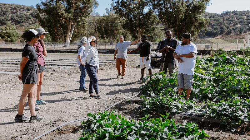 Pollinator participants and Local Food Economy staff meeting together on a farm